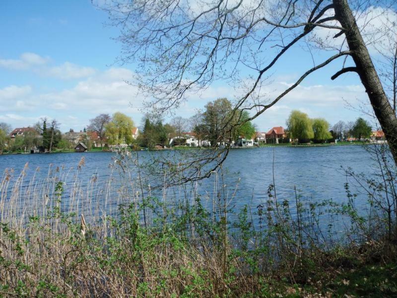 Ferienhaus Paul Am Klostersee, Urlaub Mit Hund Dargun Exterior photo